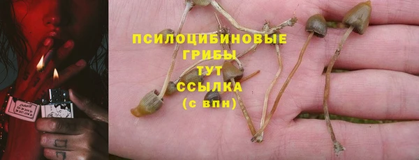 бошки Богородск