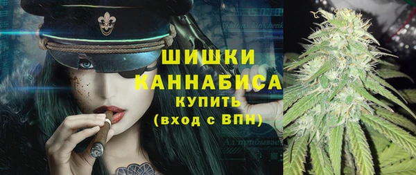 PSILOCYBIN Богданович