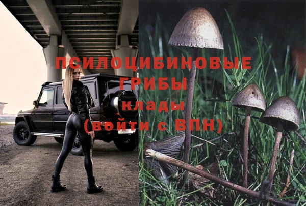 PSILOCYBIN Богданович