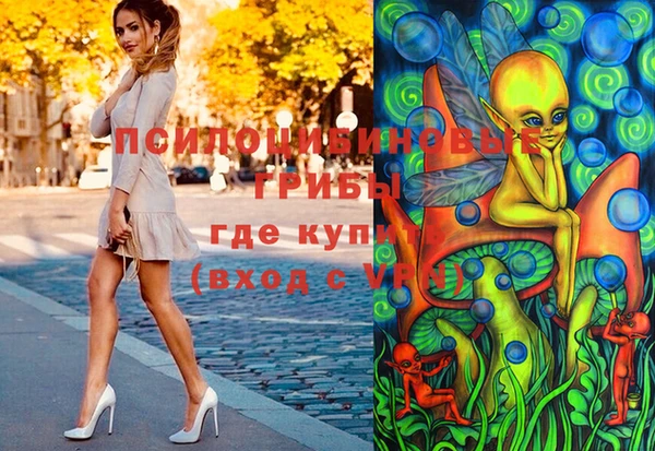 бошки Богородск