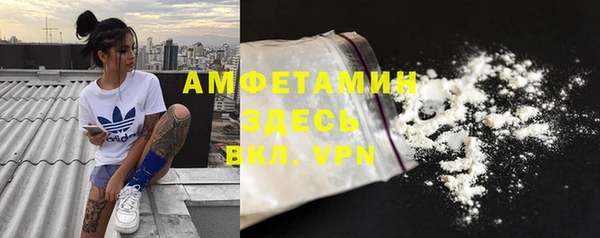 PSILOCYBIN Богданович